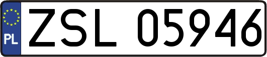 ZSL05946