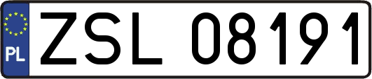 ZSL08191
