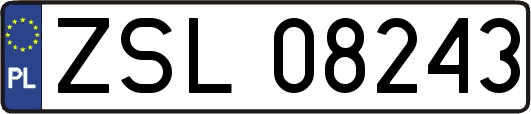 ZSL08243