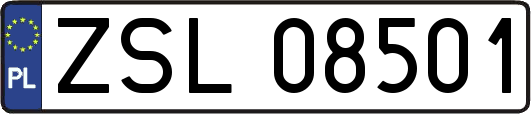 ZSL08501