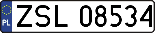 ZSL08534