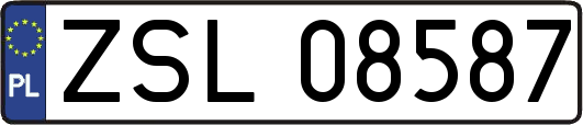 ZSL08587
