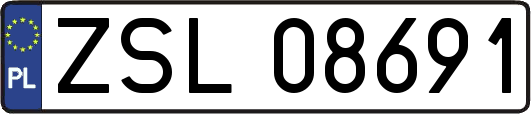 ZSL08691