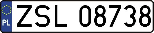 ZSL08738