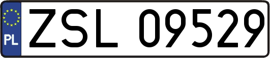 ZSL09529