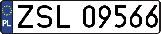 ZSL09566