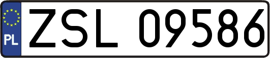 ZSL09586