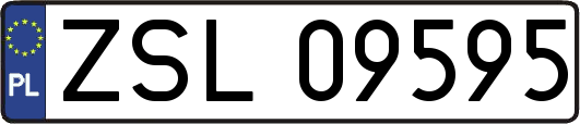 ZSL09595