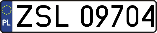 ZSL09704
