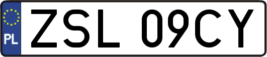 ZSL09CY
