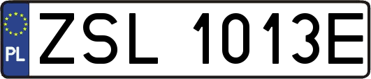 ZSL1013E