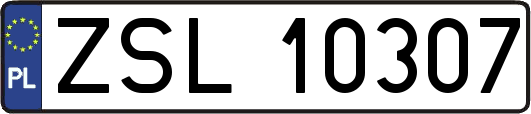 ZSL10307