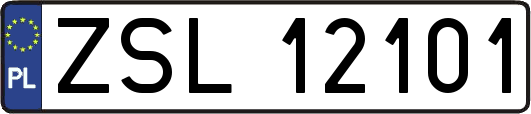 ZSL12101