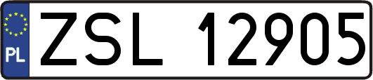 ZSL12905