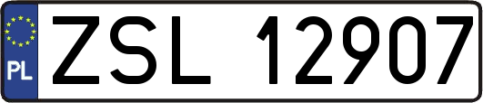 ZSL12907
