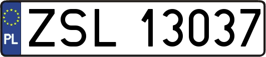 ZSL13037