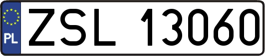 ZSL13060