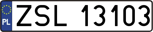 ZSL13103