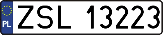 ZSL13223