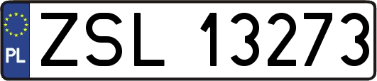 ZSL13273