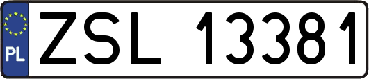 ZSL13381
