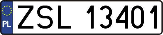 ZSL13401