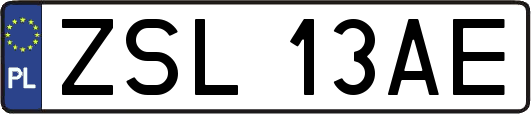 ZSL13AE