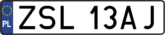 ZSL13AJ