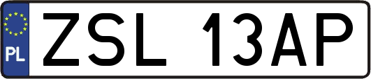 ZSL13AP