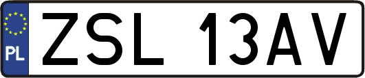 ZSL13AV