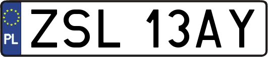 ZSL13AY