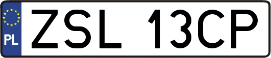 ZSL13CP