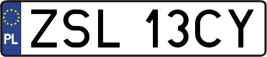 ZSL13CY