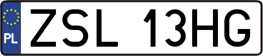 ZSL13HG