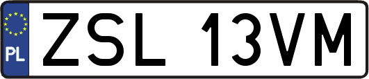 ZSL13VM