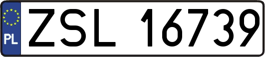 ZSL16739