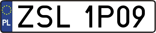 ZSL1P09