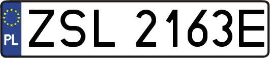 ZSL2163E