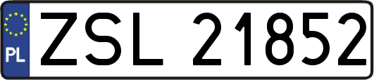 ZSL21852