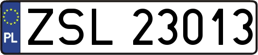 ZSL23013