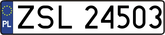 ZSL24503
