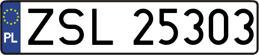 ZSL25303