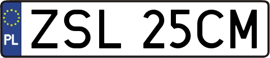 ZSL25CM