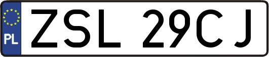 ZSL29CJ