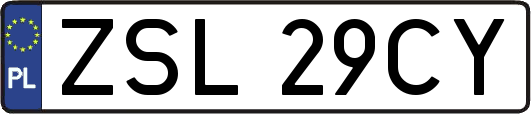 ZSL29CY