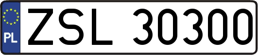 ZSL30300