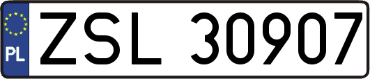 ZSL30907