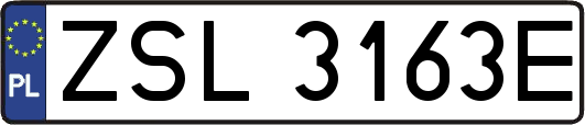 ZSL3163E