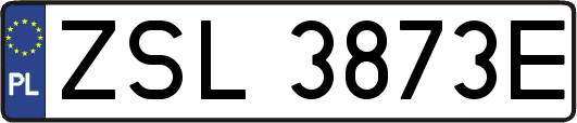 ZSL3873E
