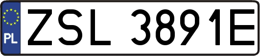 ZSL3891E